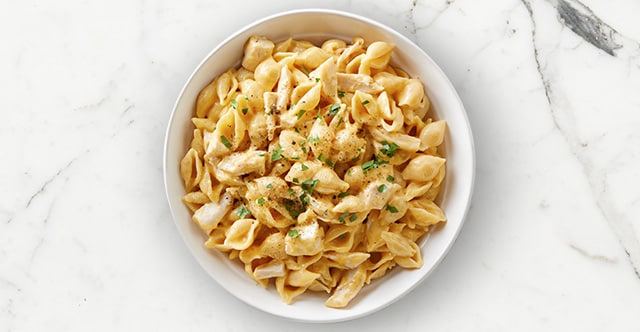 Instant Pot Cheesy Chicken and Shells Casserole