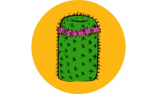 Mammillaria: Pincushion