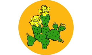 Opuntia: Prickly Pear