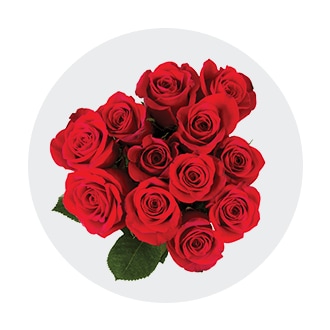 https://www.qfc.com/content/v2/binary/image/department/floral/rose-desktop-1601399033851.png