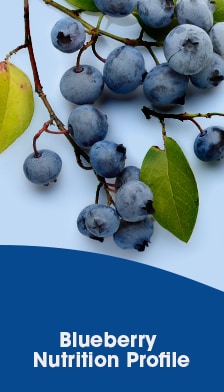 Blueberry Nutrition