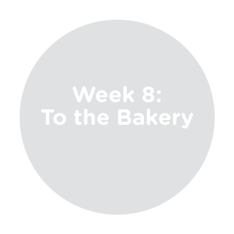 Week 8