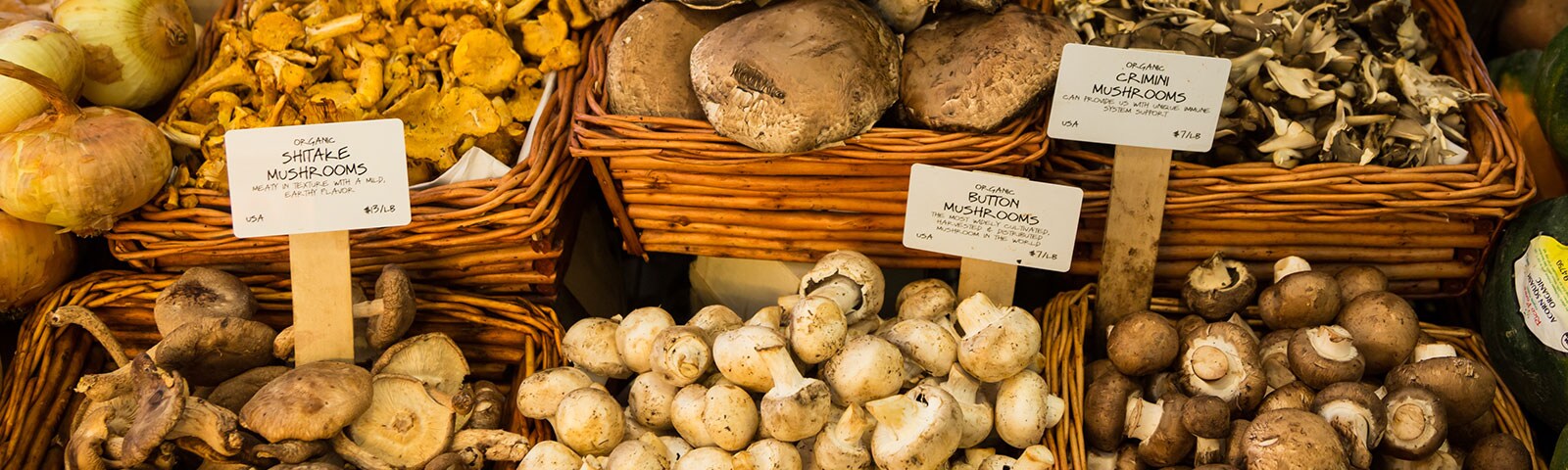 A variety of mushrooms in baskets A variety of mushrooms in baskets