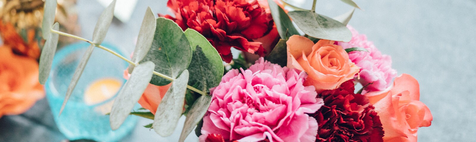 Orange pink and red carnations Orange pink and red carnations