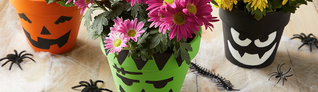 Planters with orange, pink and yellow flowers