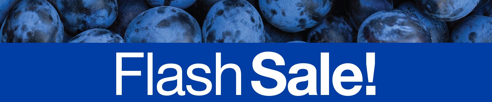 Flash Sale!